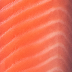 Organic Sliced Salmon