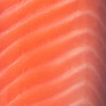 Sliced Wild Salmon