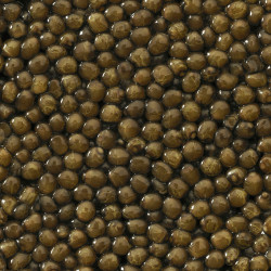 Caviar Oscietre Goldengrey Israel