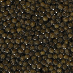 Caviar Grey Beluga Chine