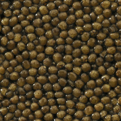 Caviar Osciètre Goldengrey Chine