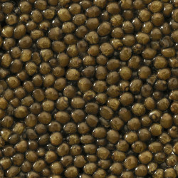 copy of Caviar Oscietre Selection Uruguay