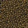 Caviar Oscietre Goldengrey Uruguay