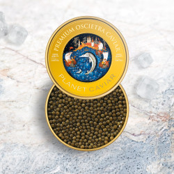 Caviar Osciètre Goldengrey Bulgarie