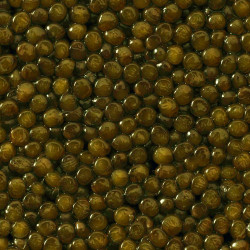 Caviar Schrencki-Dauricus Imperial China