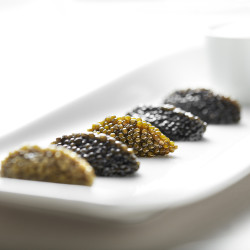Caviar Schrencki-Dauricus Impérial Chine