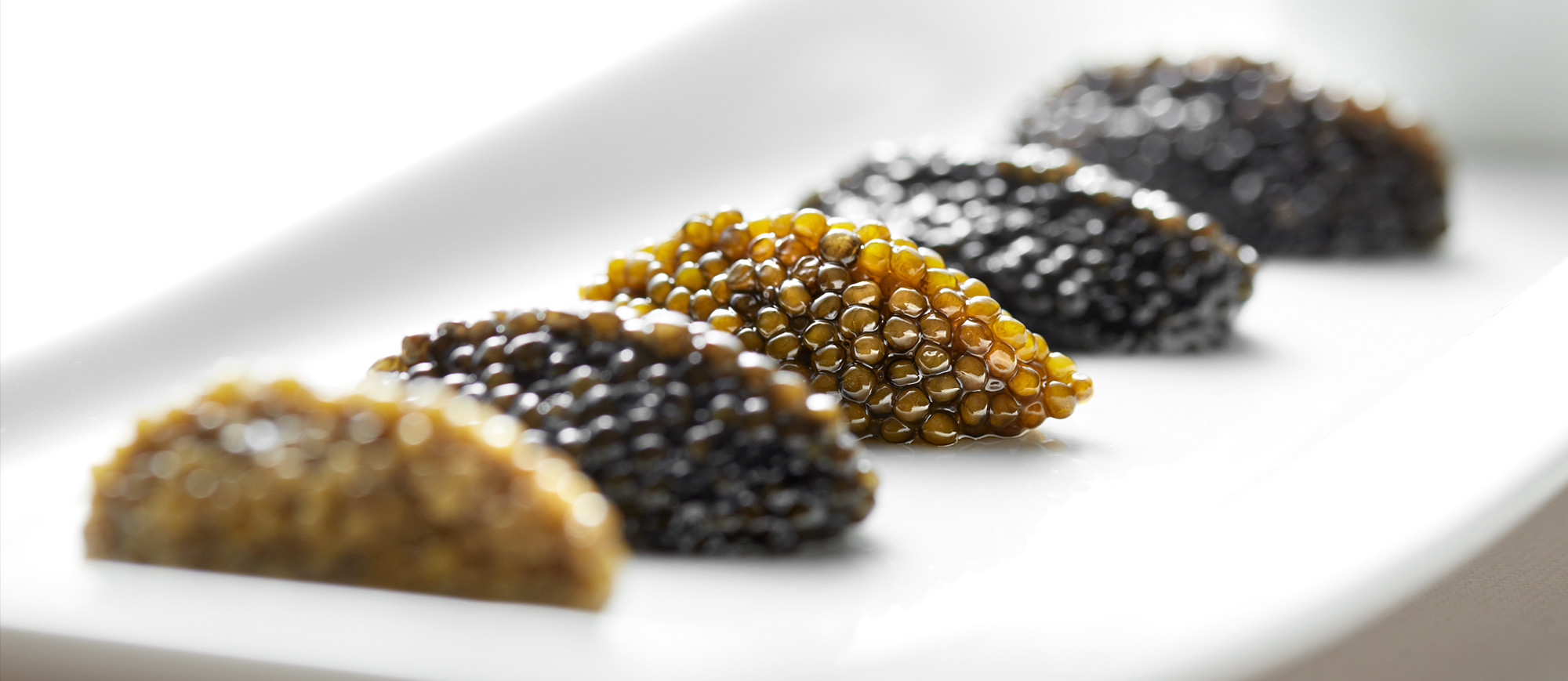 Caviar Osciètre Goldengrey